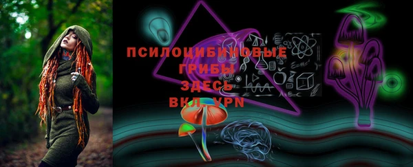 амфетамин Лабытнанги