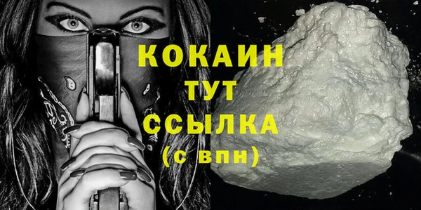 сатива Лагань