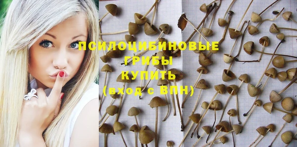 сатива Лагань