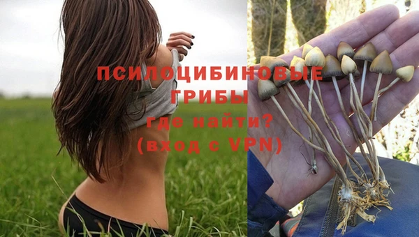 сатива Лагань