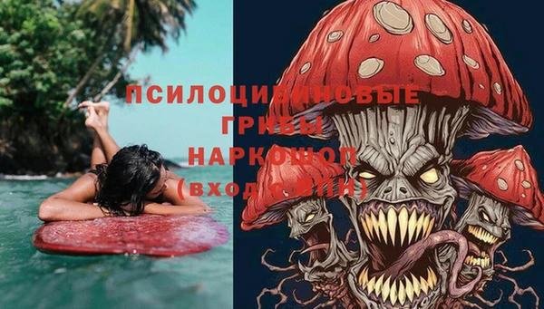 сатива Лагань