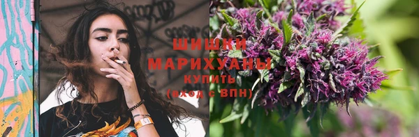 сатива Лагань