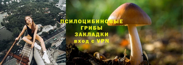 сатива Лагань